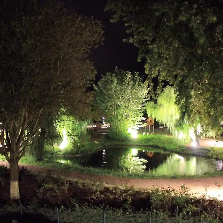 Apartment Strandperle Strandperle 103 *